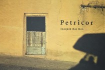 Petricor